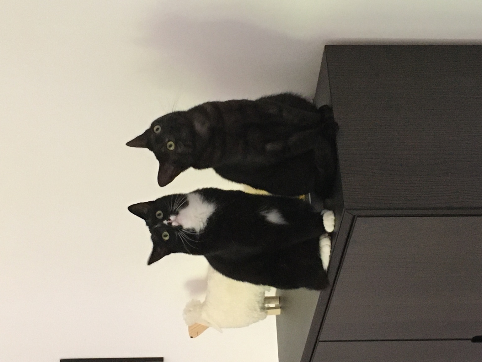 bild1.jpg bild1.jpg
